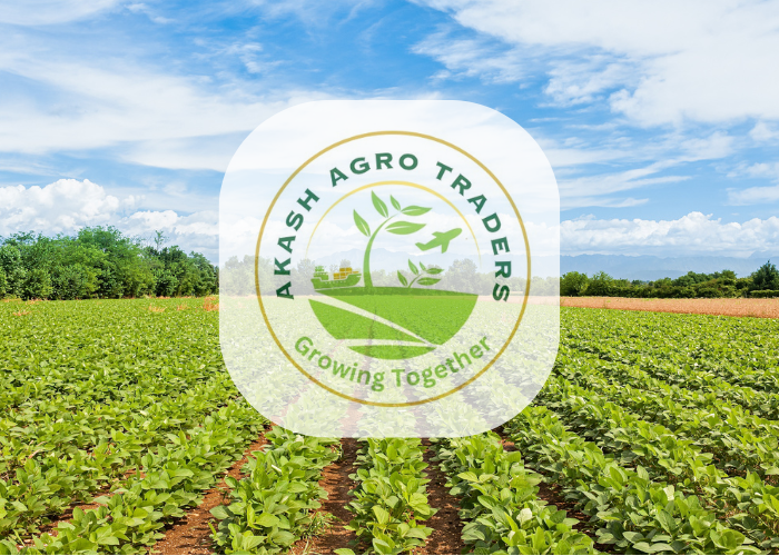 About - Akash Agro Traders