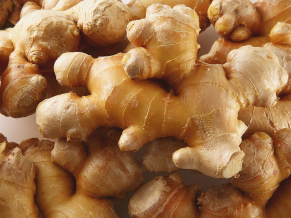 Fresh Ginger – High Aroma Quality
