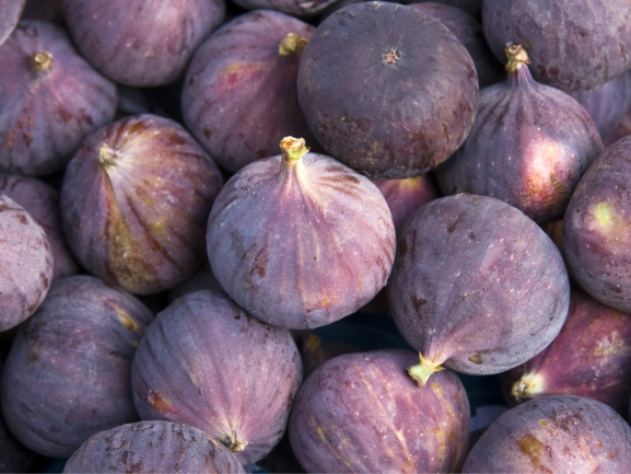 Fresh Anjeer Fig Export