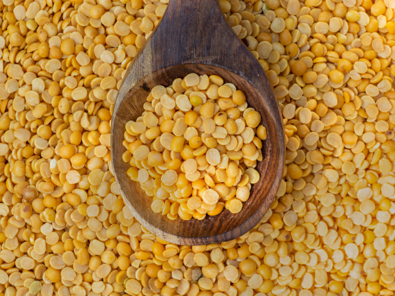 Premium Mango – Export Grade