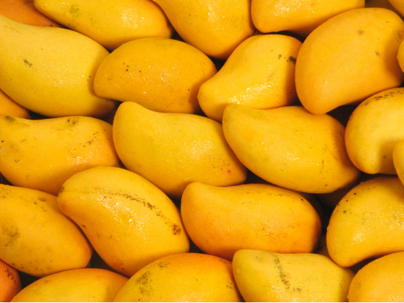 Fresh Banana – Export Quality