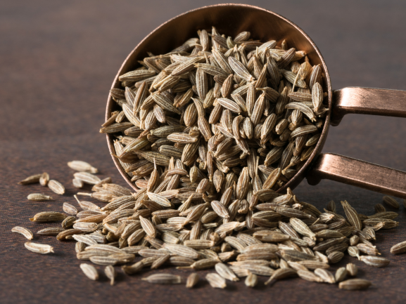 Fresh Grapes – Export Quality