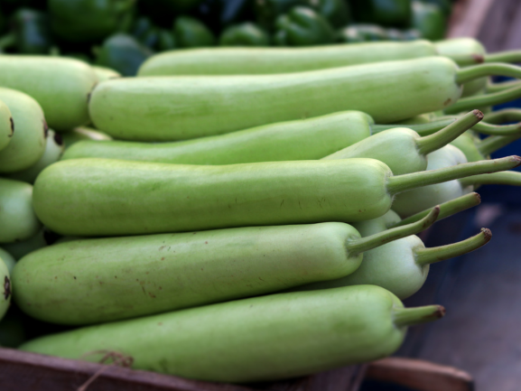 Fresh Bottle Gourd – Export Quality