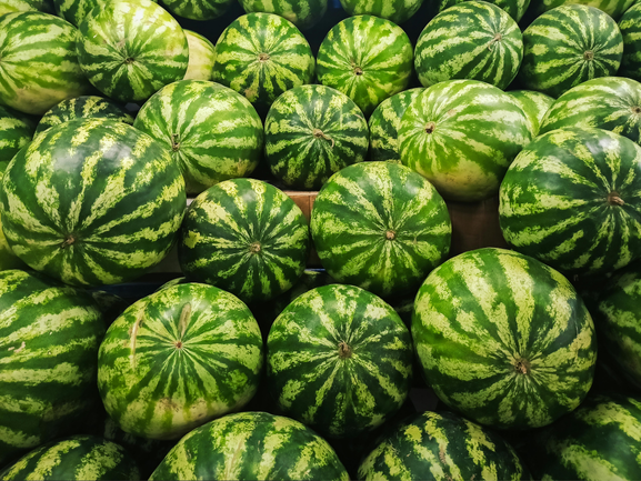 Watermelon Export