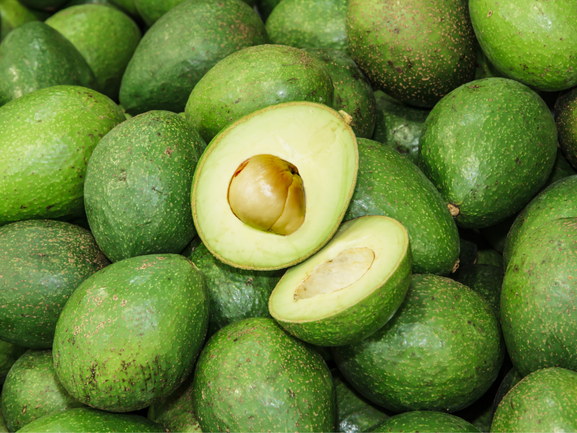 Avocado Export