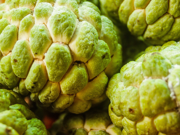 Custard Apple – Fresh Sitaphal Export Quality