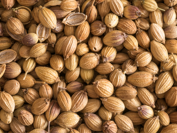 Coriander Seeds – Premium Grade