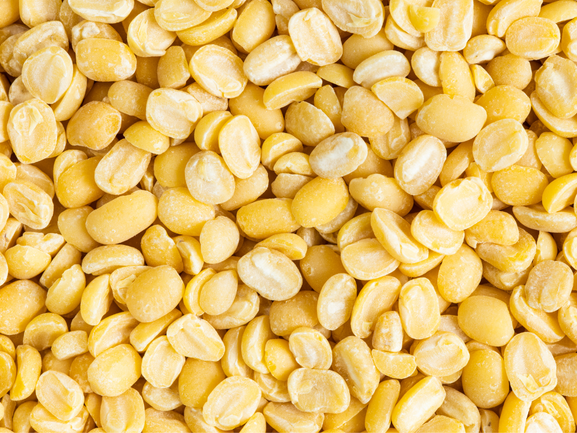 Fresh Grapes – Export Quality