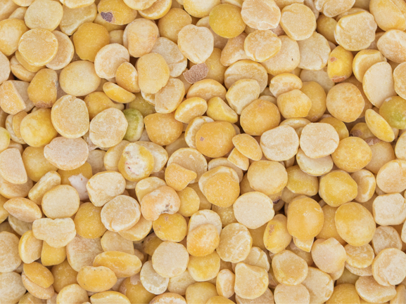 Pigeon Pea – Toor Dal Export Quality