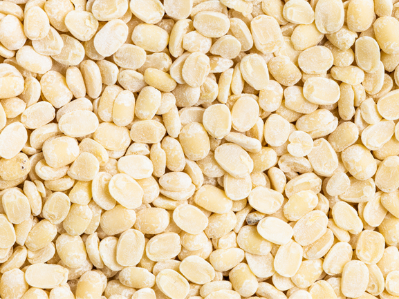 White Urad Dal – Premium Export Quality